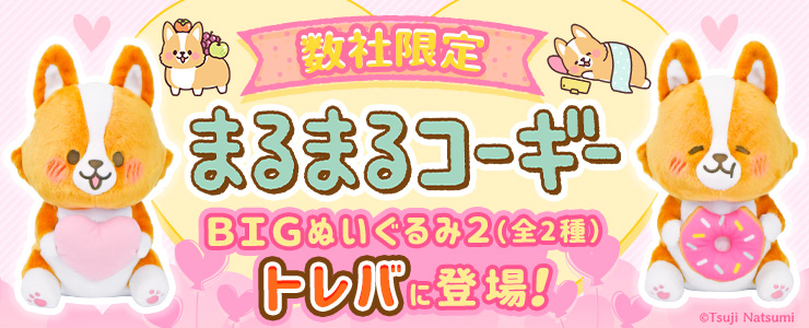 数社限定】まるまるコーギー ＢＩＧぬいぐるみ２」登場！！ | オンラインクレーンゲーム トレバ